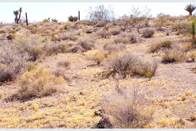 319-08-282 N Kaibab Road, Dolan Springs, AZ 86441 - Photo 31