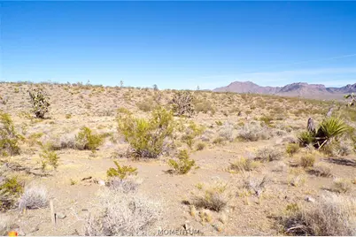 319-08-282 N Kaibab Road, Dolan Springs, AZ 86441 - Photo 15