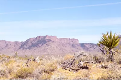 319-08-282 N Kaibab Road, Dolan Springs, AZ 86441 - Photo 41