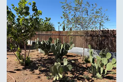 4009 E Shaeffer Avenue, Kingman, AZ 86409 - Photo 15