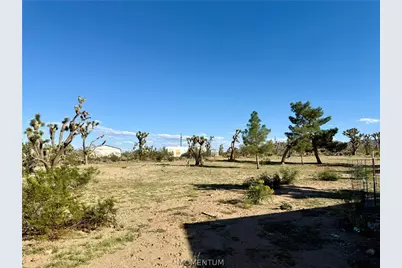 18756 Rose Drive, Dolan Springs, AZ 86441 - Photo 13