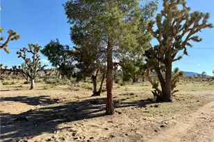 18756 Rose Dr, Dolan Springs, AZ 86441 - Photo 15