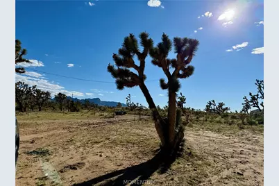 18756 Rose Drive, Dolan Springs, AZ 86441 - Photo 5