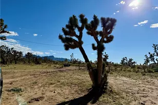 18756 Rose Dr, Dolan Springs, AZ 86441 - Photo 5