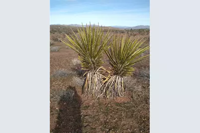 351-13-039B N Normandy Road, Dolan Springs, AZ 86441 - Photo 3
