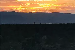 000 S Signal, Yucca, AZ 86438 - Photo 1