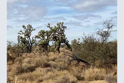 2664 S Rawhide, Yucca, AZ 86438 - Photo 1