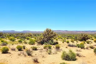 12755 Silver Sage Dr, Dolan Springs, AZ 86441 - Photo 1