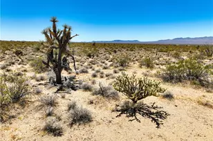 606B S Billy The Kid Rd, Yucca, AZ 86438 - Photo 1