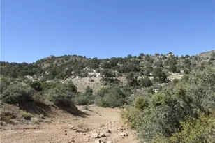 000 Walapai Mining Rd Rd, Kingman, AZ 86409 - Photo 1