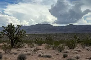 0000 E Rose Rd, Meadview, AZ 86444 - Photo 1