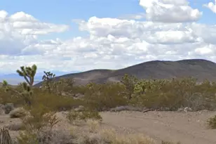 8778 W Pine Tree Dr, White Hills, AZ 86445 - Photo 1