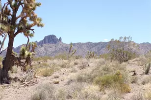 Lot 18 N Ladera Dr, Dolan Springs, AZ 86441 - Photo 1