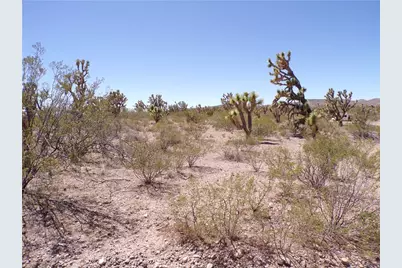 Lot 15 N Kingman Drive, Dolan Springs, AZ 86441 - Photo 1