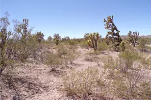 Lot 15 N Kingman Dr, Dolan Springs, AZ 86441 - Photo 1