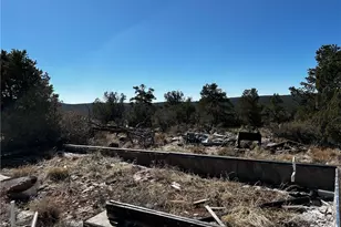 Lot 010 Skunk Hill Trail, Peach Springs, AZ 86434 - Photo 1