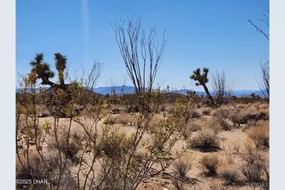 Lot 207 E Mary Drive, Yucca, AZ 86438 - Photo 1