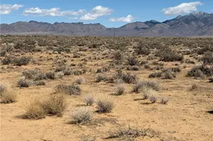 2 5 Ac Bonita Dr, Dolan Springs, AZ 86441 - Photo 1