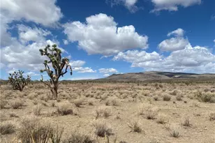 327-06-017 Palm, Dolan Springs, AZ 86441 - Photo 1