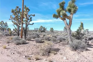 26241 N Humming Bird Ln, Meadview, AZ 86444 - Photo 1