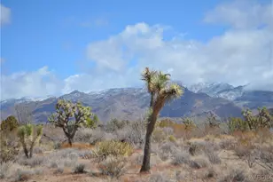 Lot 767 Alamo/La Cienega Rd, Yucca, AZ 86438 - Photo 1