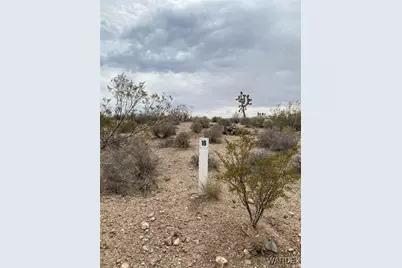 8558 W Leonard Drive, White Hills, AZ 86445 - Photo 1