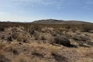0 N Coyote Rd, Dolan Springs, AZ 86441 - Photo 1