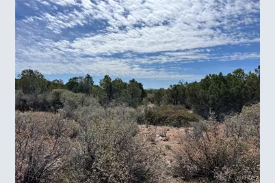 42 N Puma Drive, Kingman, AZ 86401 - Photo 1