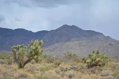 Y7 Holiday Road, Yucca, AZ 86438 - Photo 1