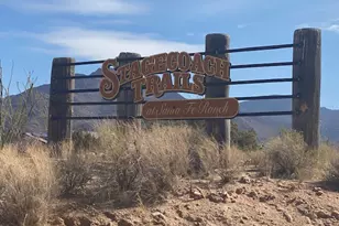 0 Creosote, Yucca, AZ 86438 - Photo 1