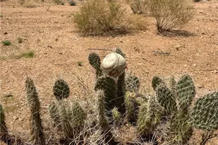 9478 N Branded Rd, Kingman, AZ 86401 - Photo 1