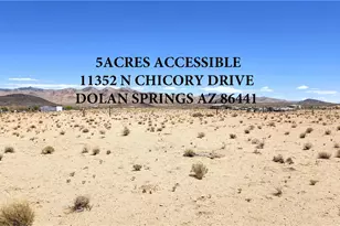 11352 N Chicory Dr, Dolan Springs, AZ 86441 - Photo 1