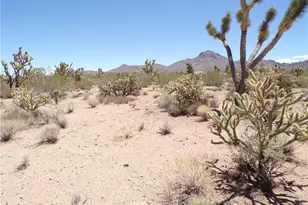 Lots 351 & 352 N Paloma & Palo Alto Dr, Dolan Springs, AZ 86441 - Photo 1