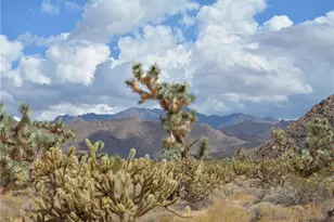 C8 Duquesne Rd, Yucca, AZ 86438 - Photo 1