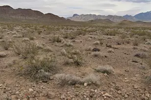 319-18-081 Date Dr, Dolan Springs, AZ 86441 - Photo 1