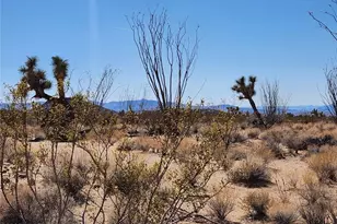 Lot 135 E Mission Rd, Yucca, AZ 86438 - Photo 1