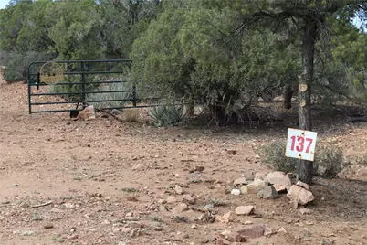 10387 E Amber Court, Hackberry, AZ 86411 - Photo 1