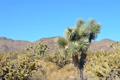 11900 S Alan Road, Yucca, AZ 86438 - Photo 1