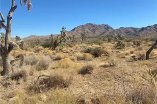 Lots 257 284 Palm Dr, Dolan Springs, AZ 86441 - Photo 1