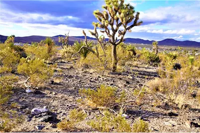 Lot 494 N Maywood Drive, Dolan Springs, AZ 86441 - Photo 1