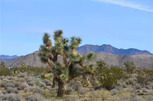 11872 S Date Creek Rd, Yucca, AZ 86438 - Photo 1