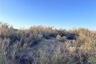 2885 Mesa Del Oro, Mohave Valley, AZ 86440 - Photo 1