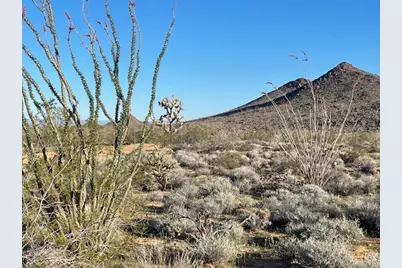 Lot 16 S Desert View Road, Yucca, AZ 86438 - Photo 1
