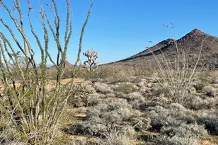 Lot 16 S Desert View Rd, Yucca, AZ 86438 - Photo 1