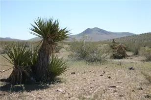 Lot 125 Macon Crest Ave, Dolan Springs, AZ 86441 - Photo 1
