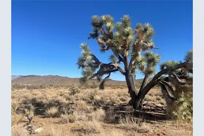 327-02-487 Telegraph, Dolan Springs, AZ 86441 - Photo 1