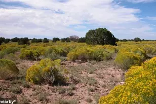 338-03-304 Bonview Dr, Meadview, AZ 86444 - Photo 1