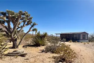 16549 N Lakeside Dr, Dolan Springs, AZ 86441 - Photo 1