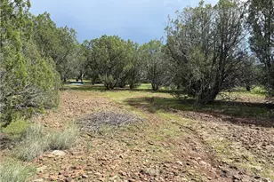 314-59-037 Greeley Dam Rd, Seligman, AZ 86337 - Photo 1