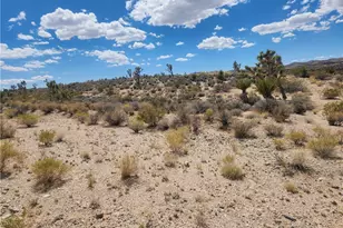 27445 N Driftwood Dr, Meadview, AZ 86444 - Photo 1